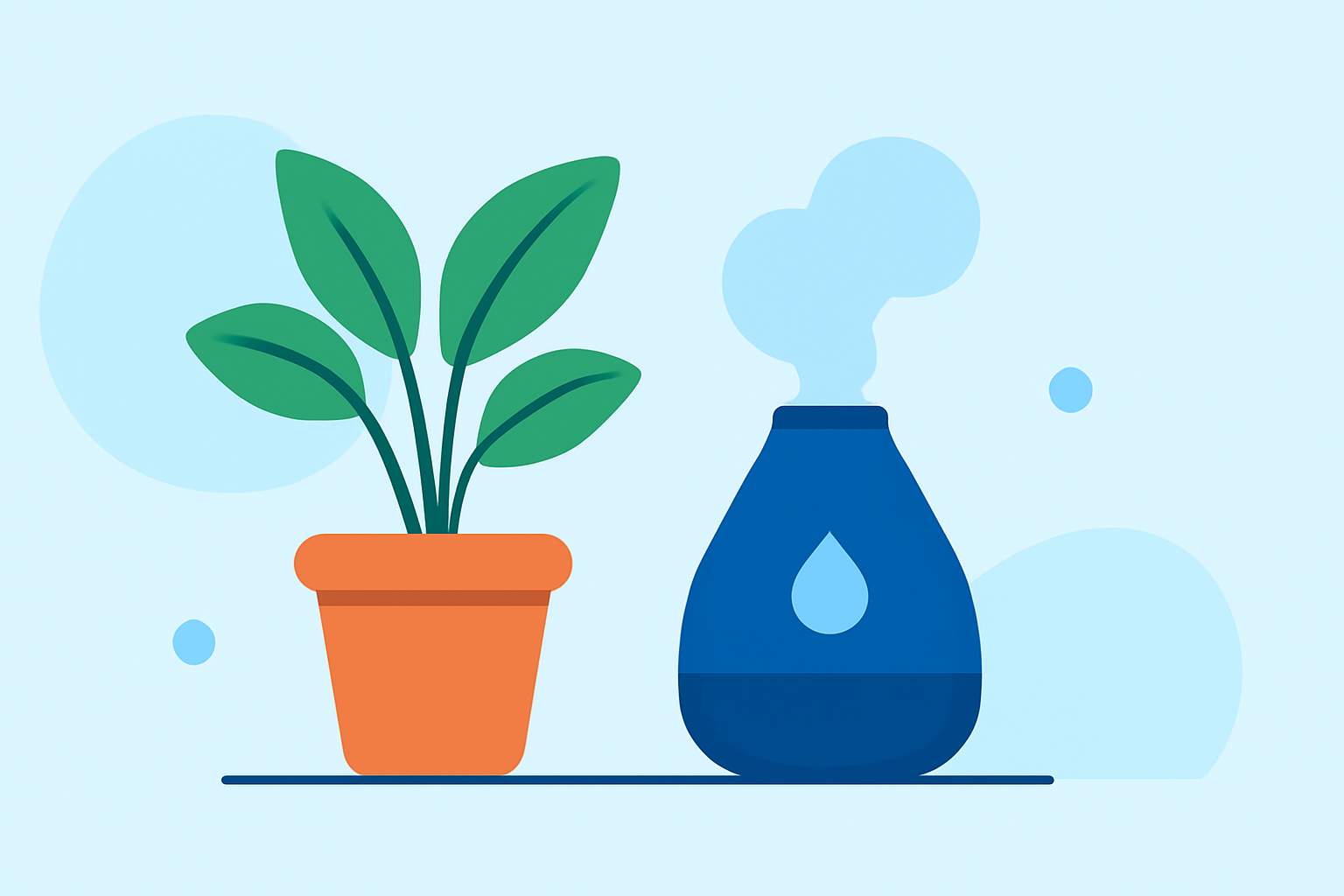 A Beginner's Guide to Managing Humidity for Indoor Plants