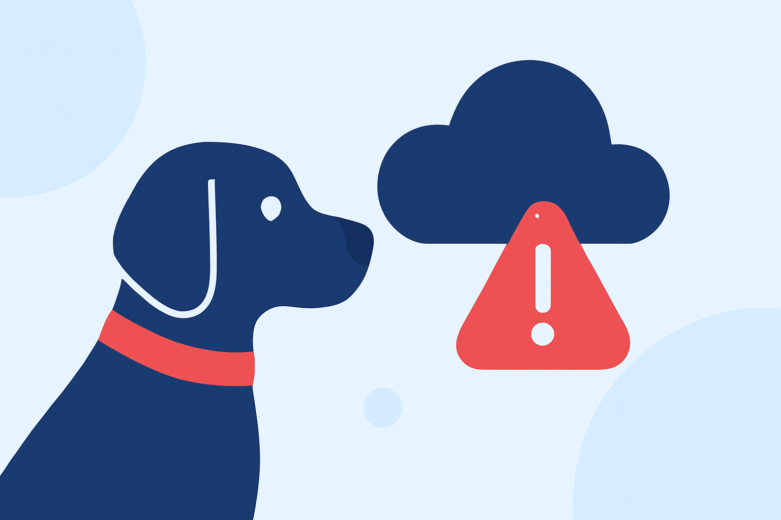Flash Flood Alerts: Essential Guide for Pet Owners