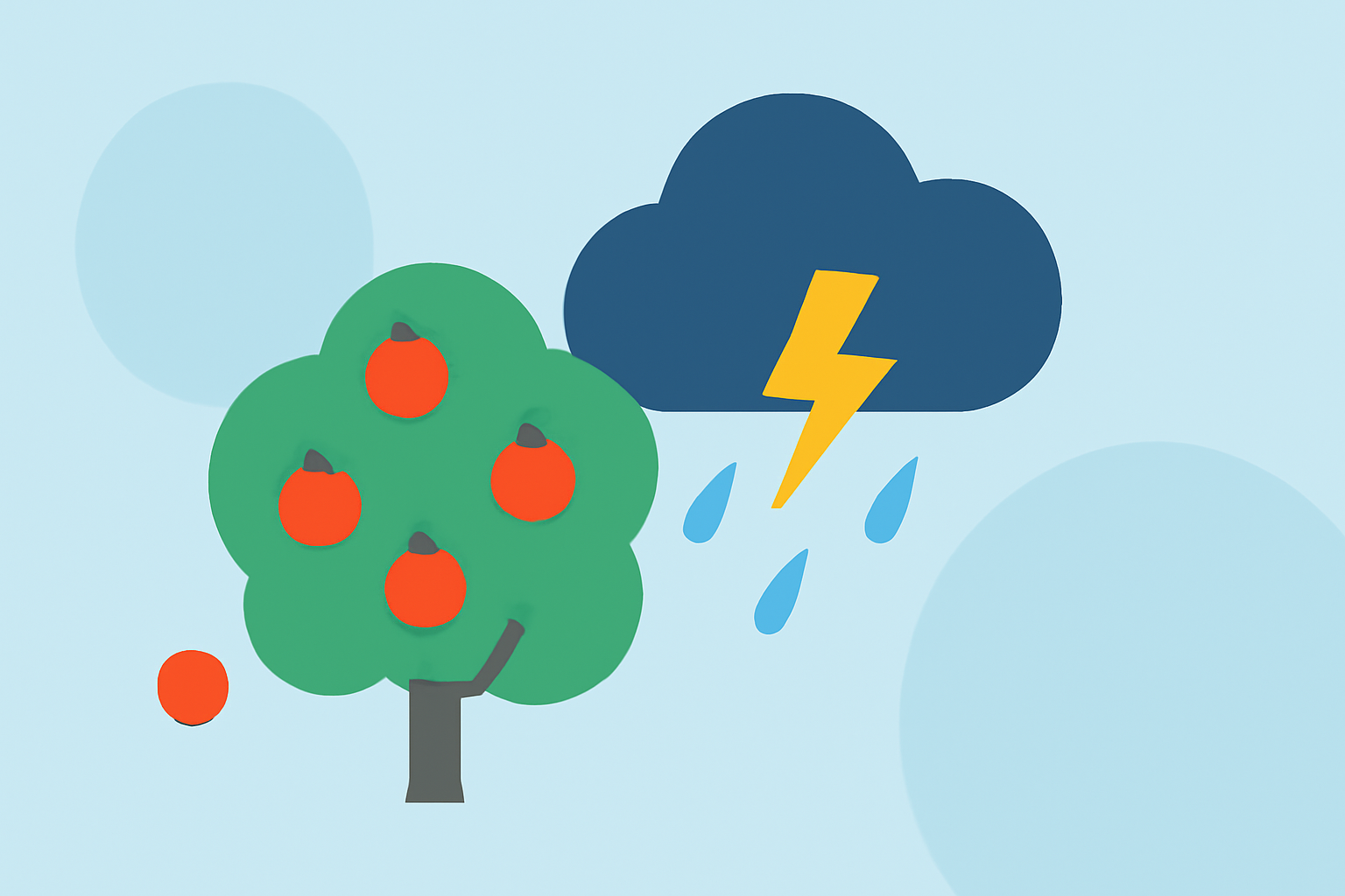 Weather Considerations for Fruit Growing During Outdoor Events in the United States