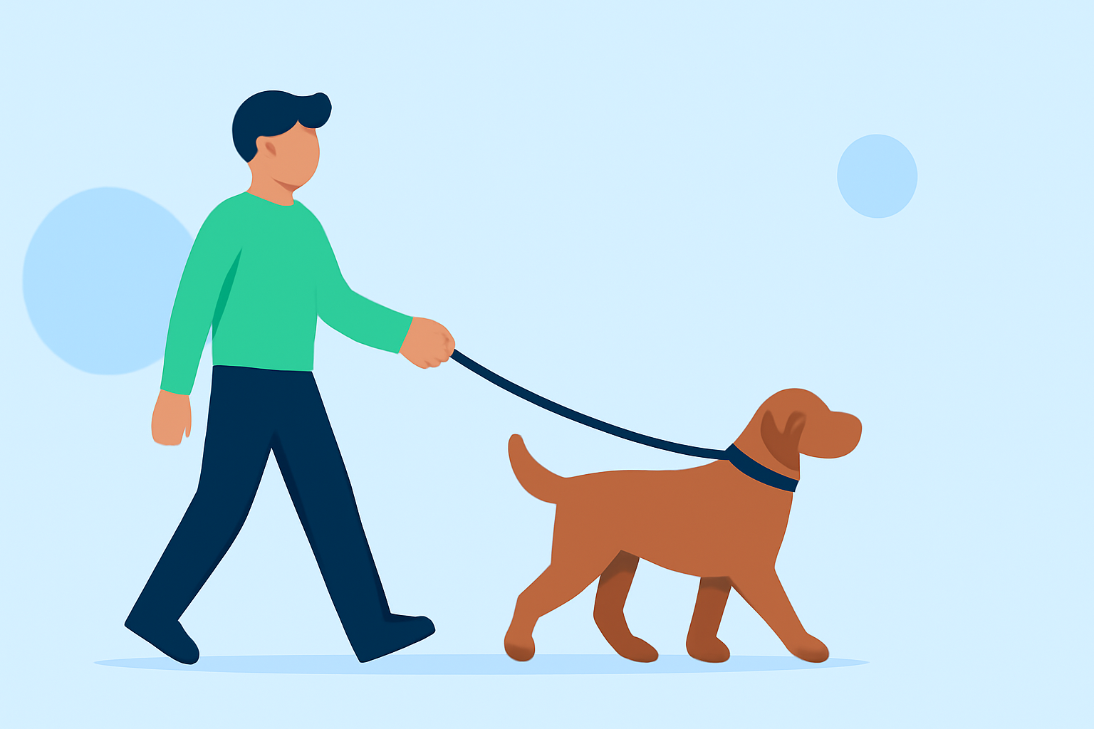 Easy Weather for Pet Walking: The Best Solutions