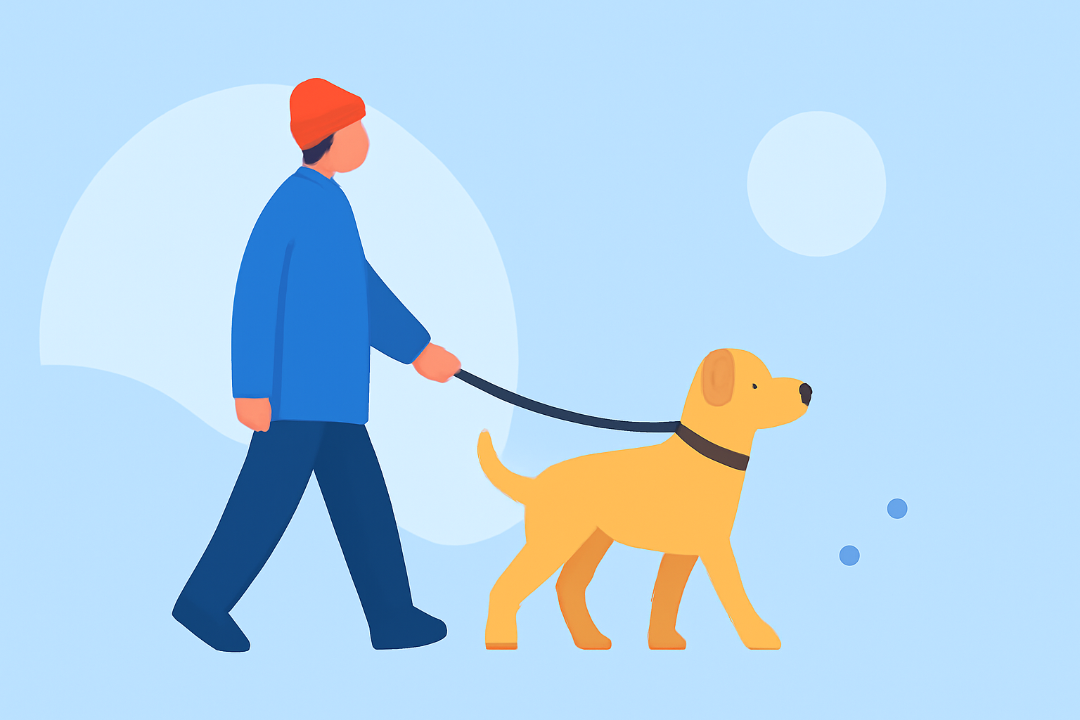 Essential Tips for Safe Pet Walking in Various Weather Conditions