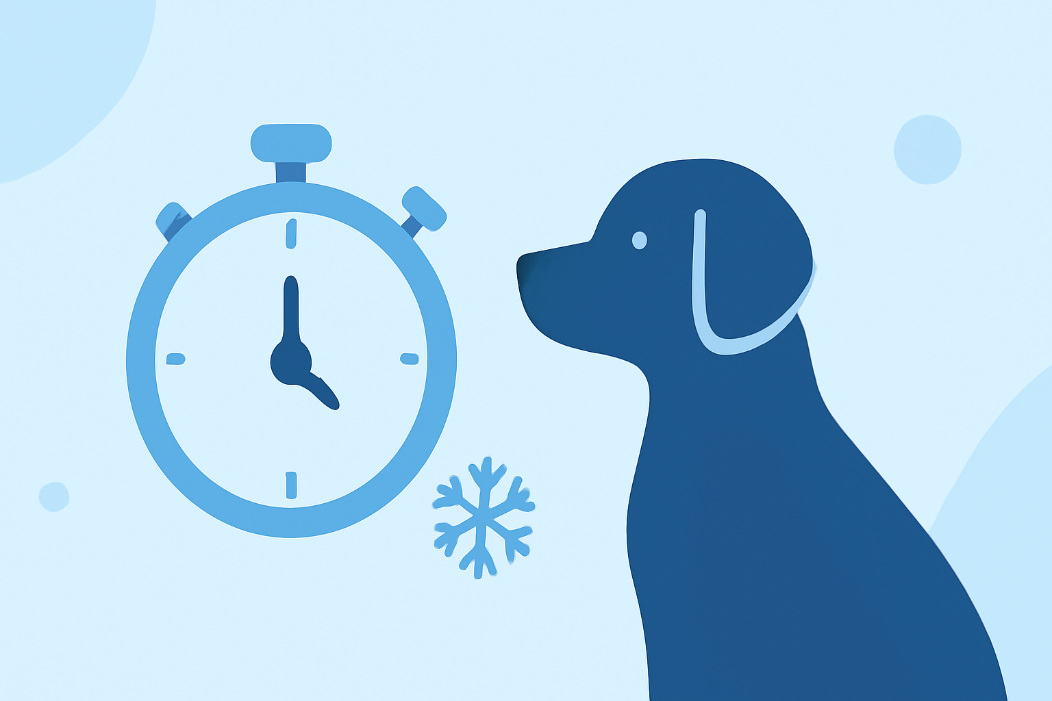An Introduction to Snow Stop Time for Pet Owners