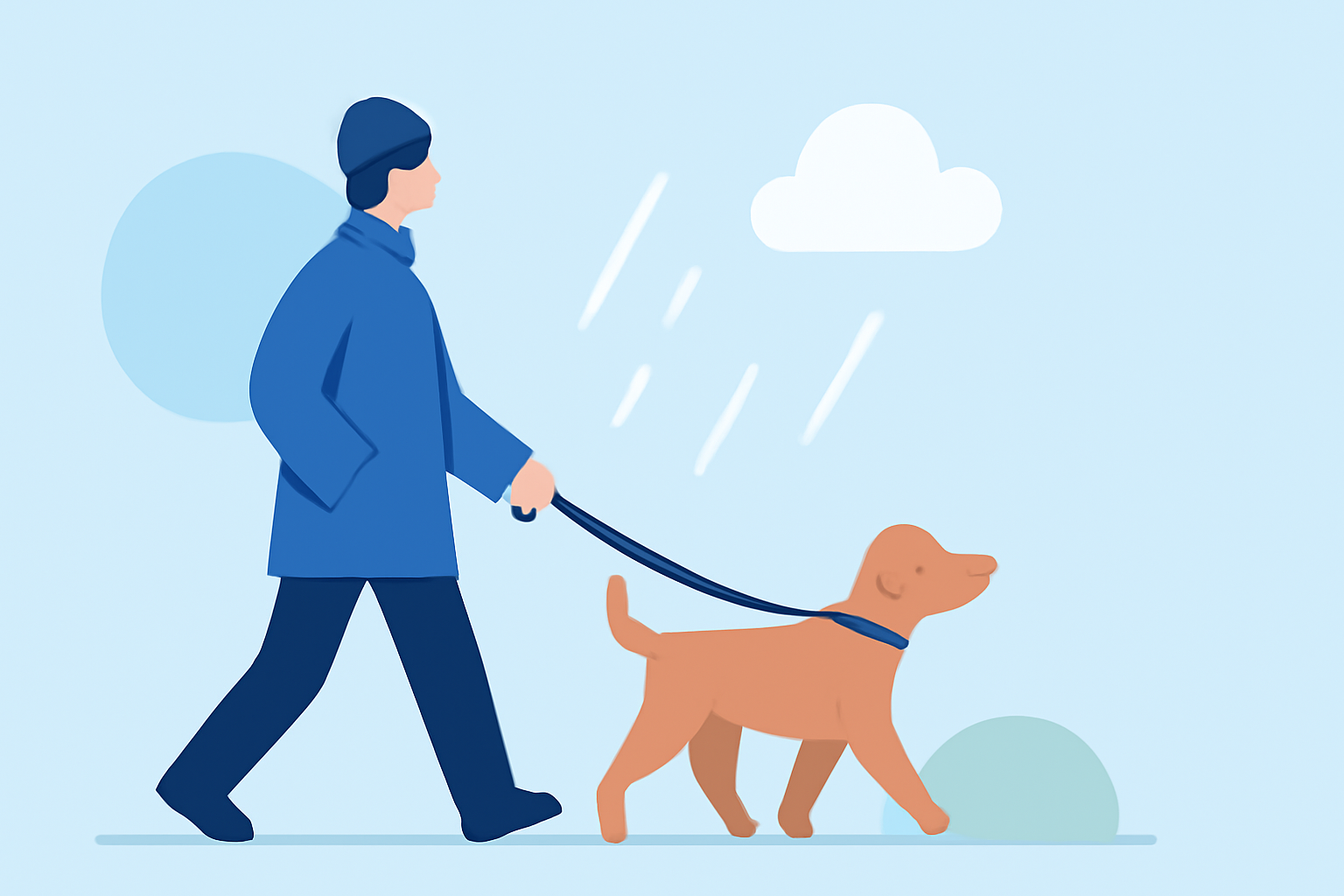 A Step-by-Step Guide to Planning Safe Pet Walks in Any Weather