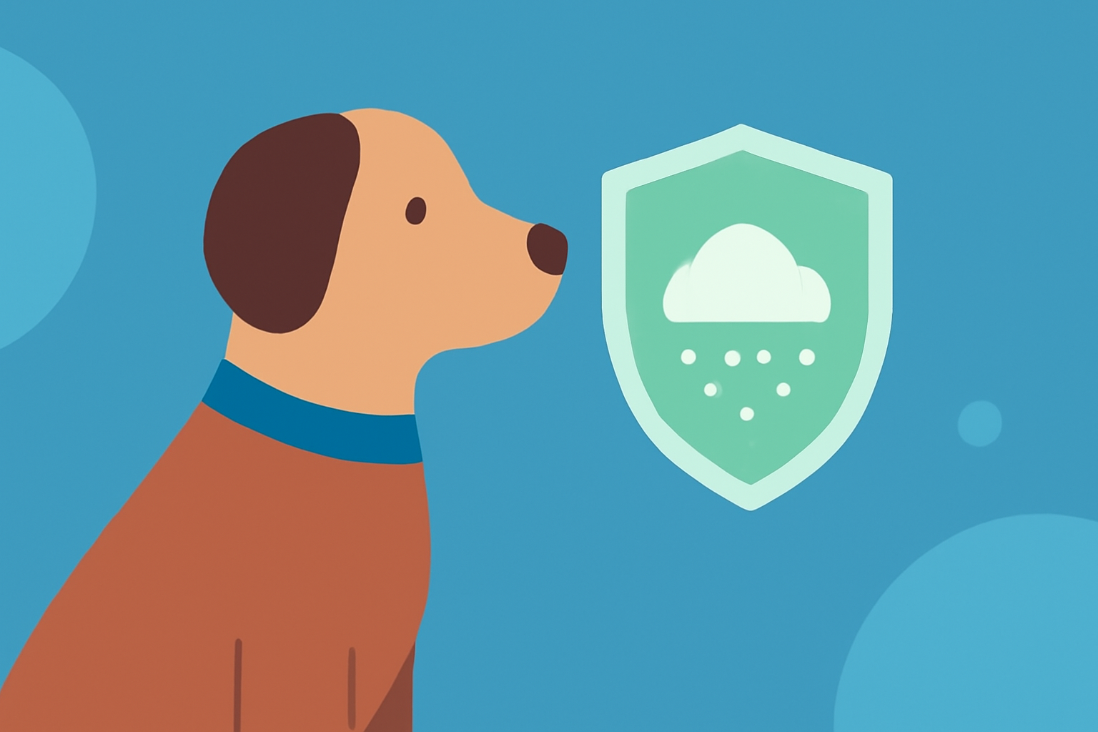 Protecting Your Pets from Particulate Matter: A Comprehensive Guide for Pet Owners