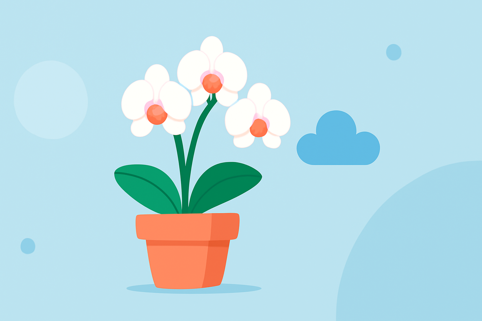Weather Conditions for Thriving Orchids: A Step-by-Step Guide