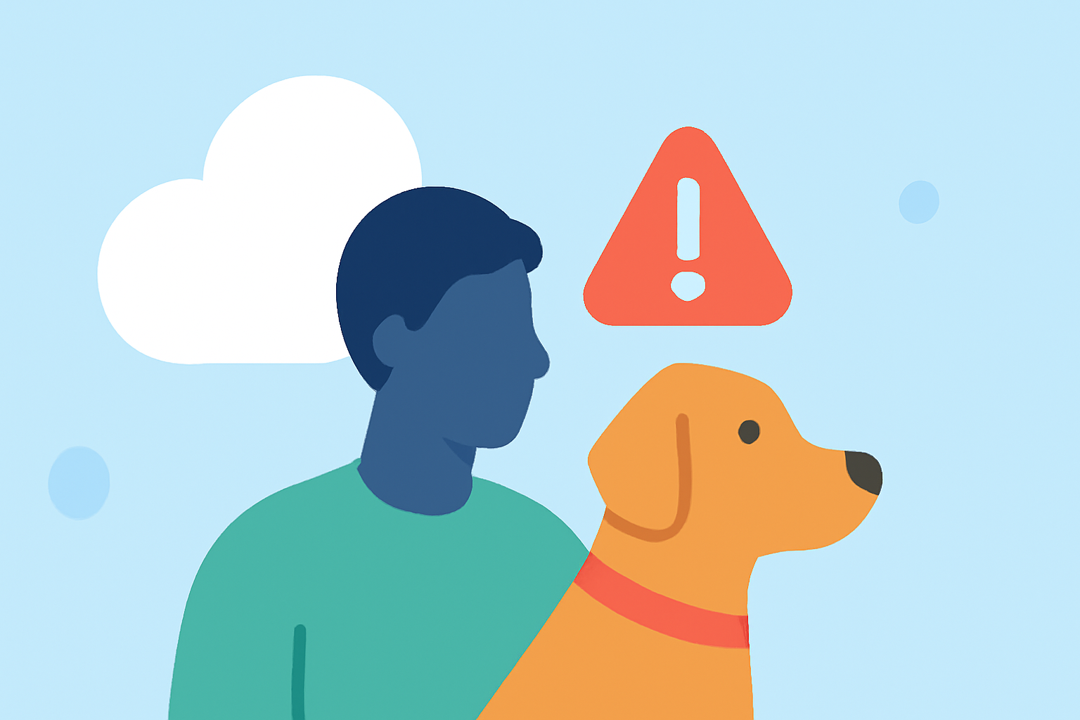 Getting Started with Dense Fog Alerts for Pet Owners