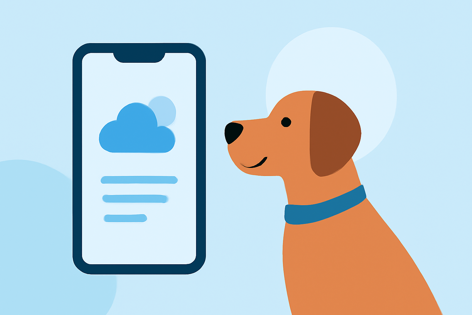 Weather Widget Customization Checklist for Pet Owners