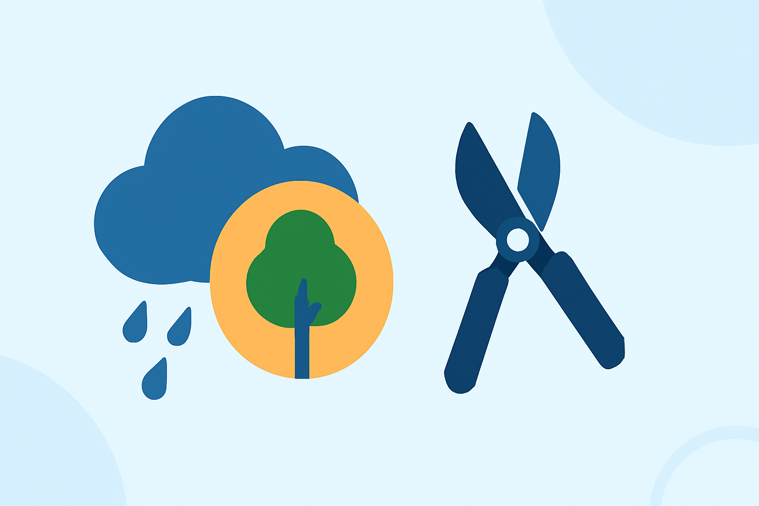 Understanding Weather for Tree Trimming