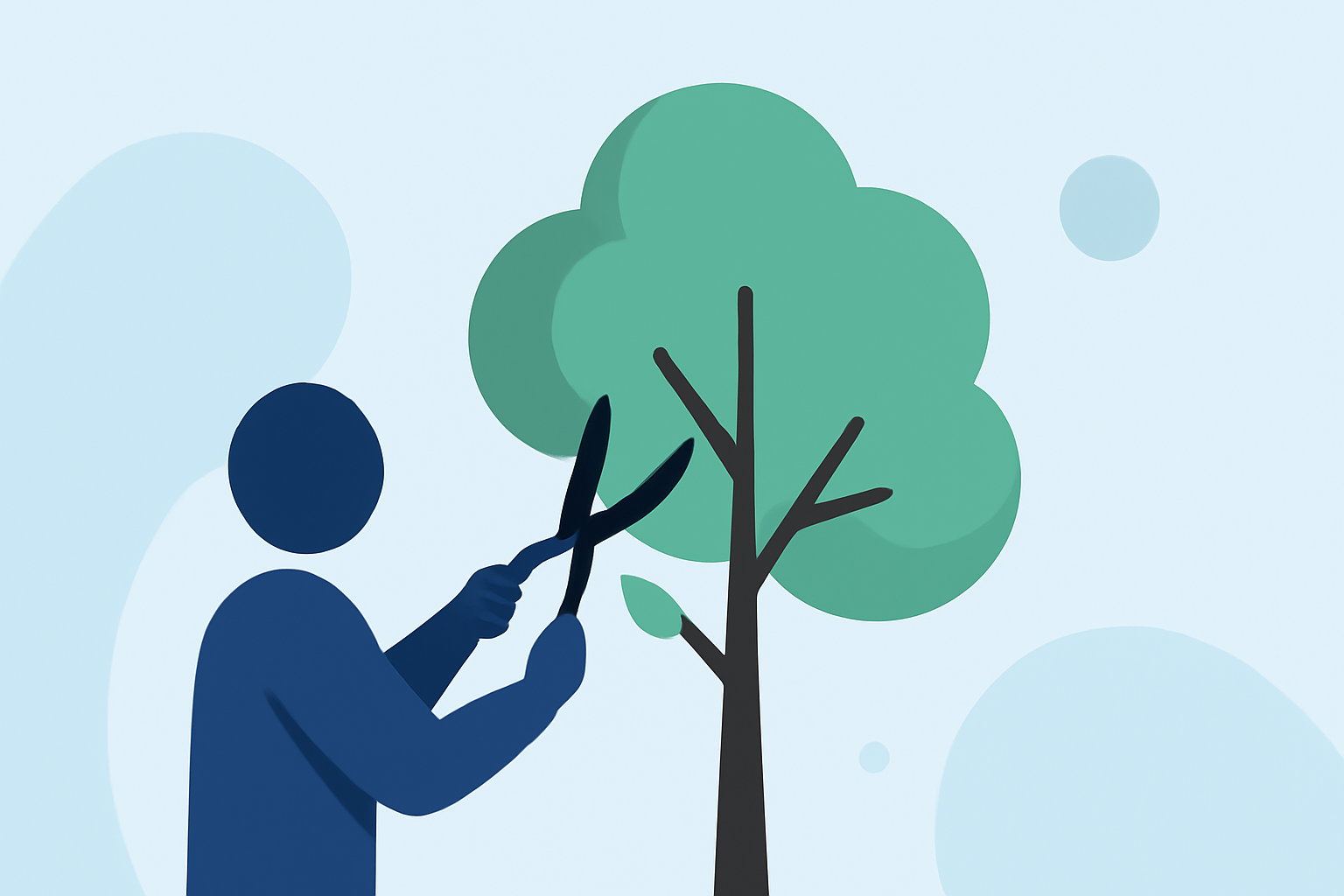 Optimal Timing for Tree Pruning: A Regional Guide