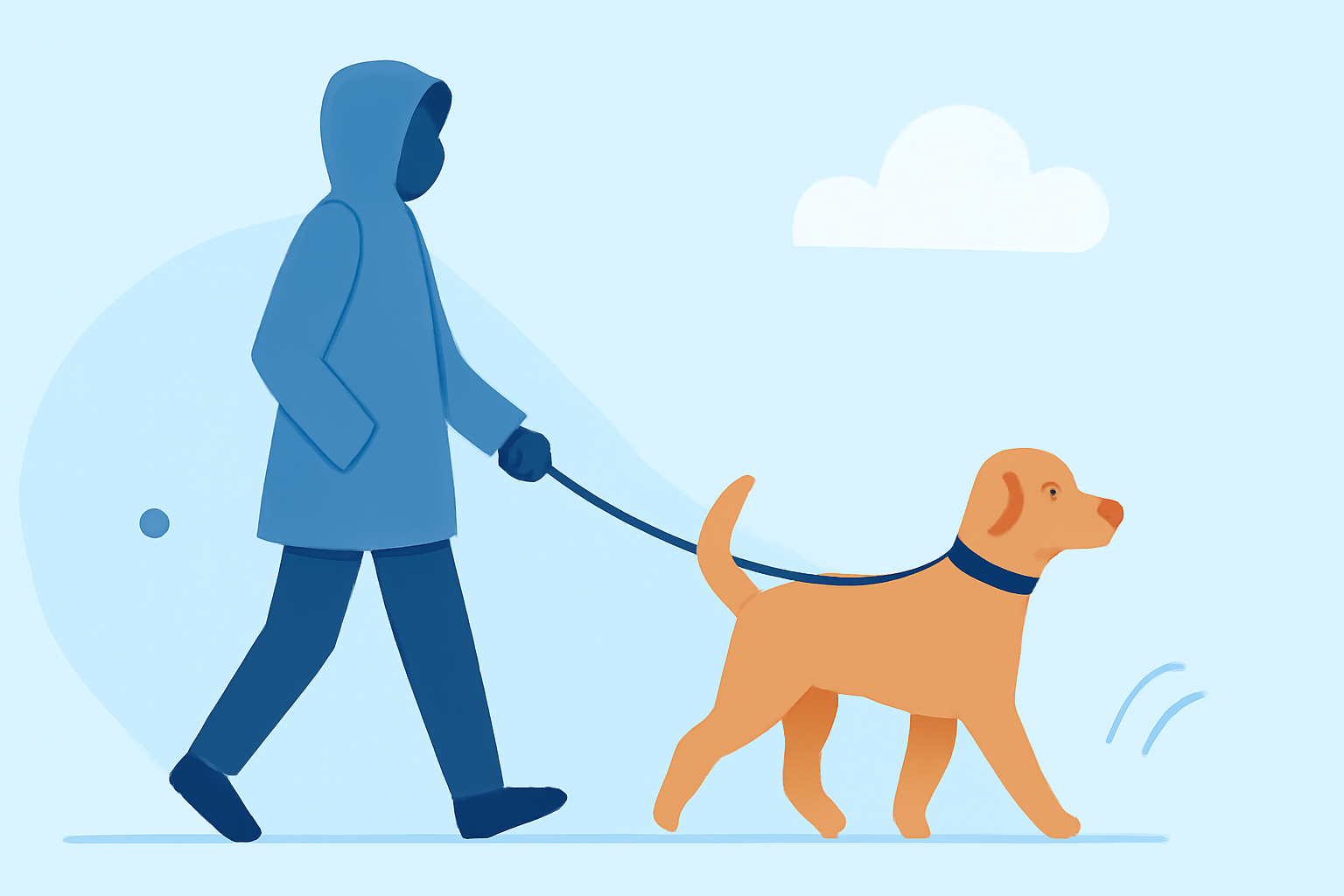 Essential Guide to Safe Dog Walking in Various Weather Conditions