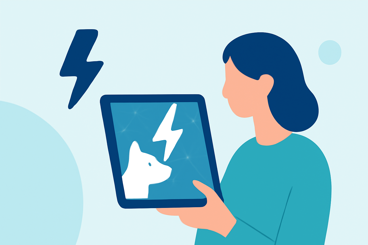 An Introduction to Lightning Maps for Pet Owners