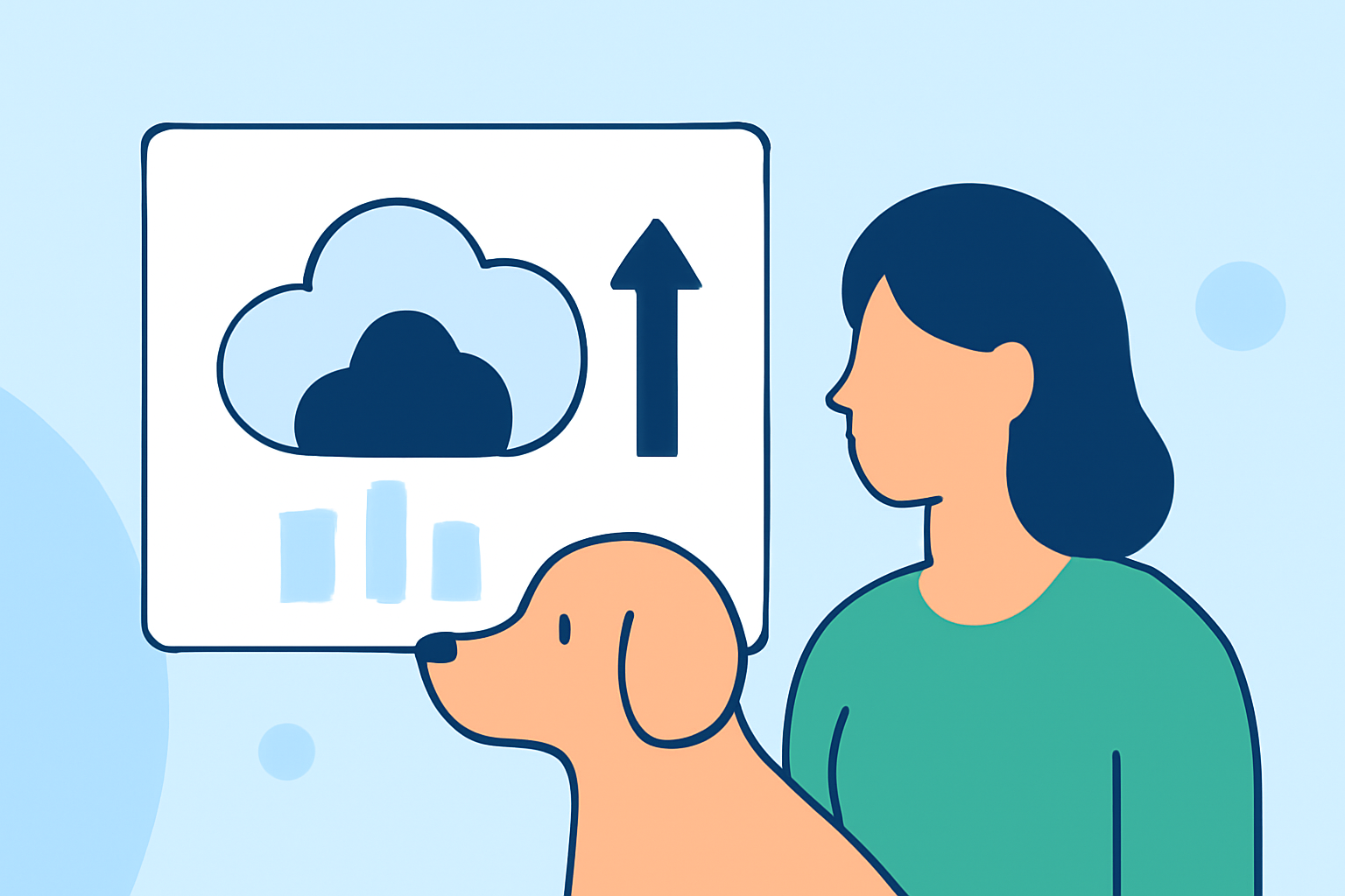 Weather Data Providers Explained for Pet Owners