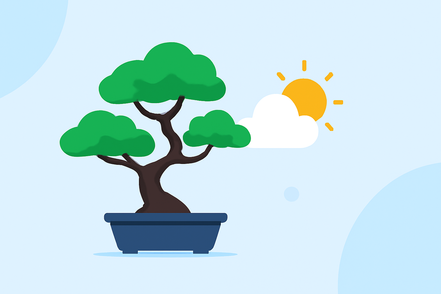 Essential Weather Considerations for Bonsai Care in the United States