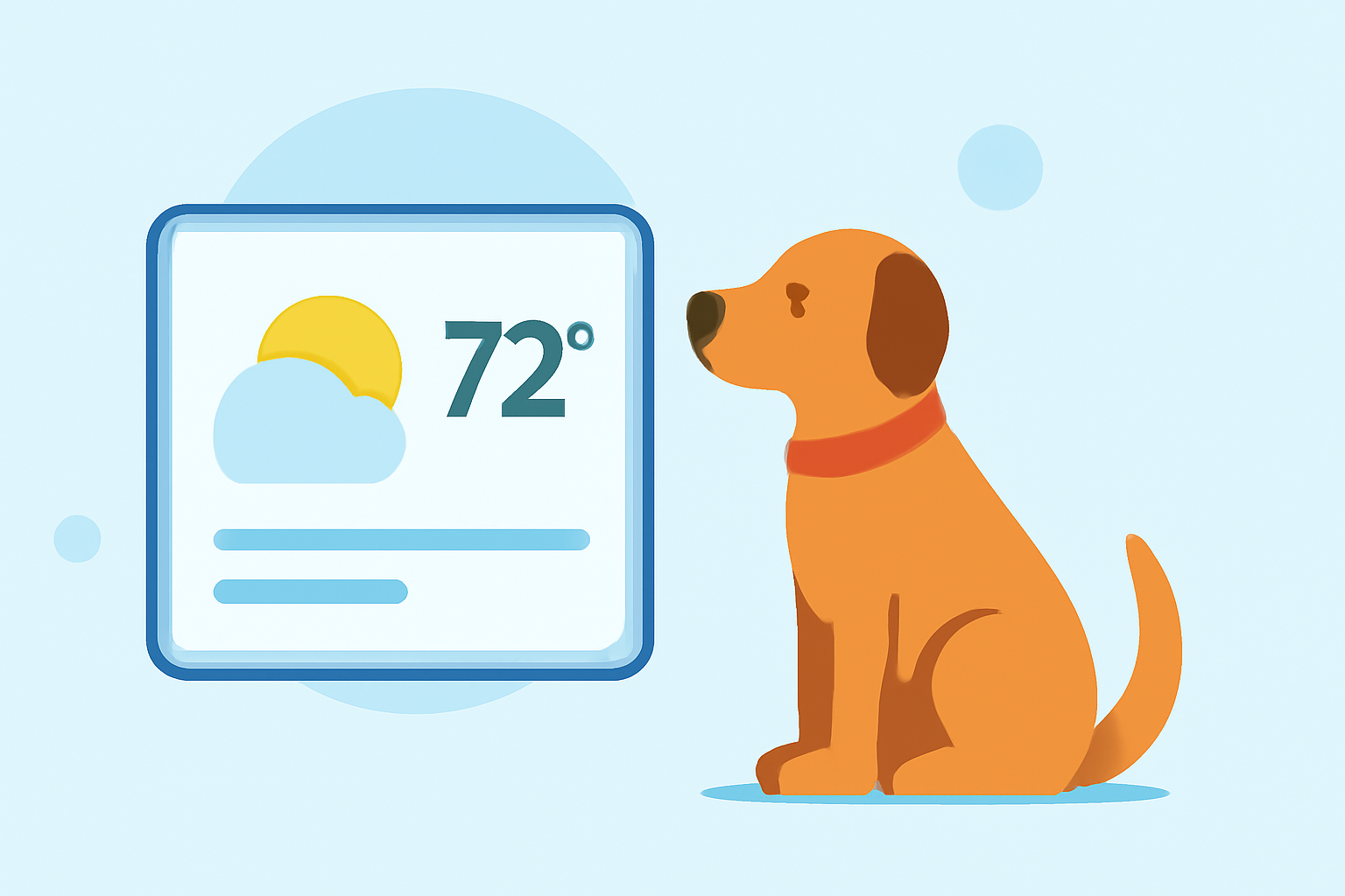 Quick Weather Widget Basics for Pet Owners