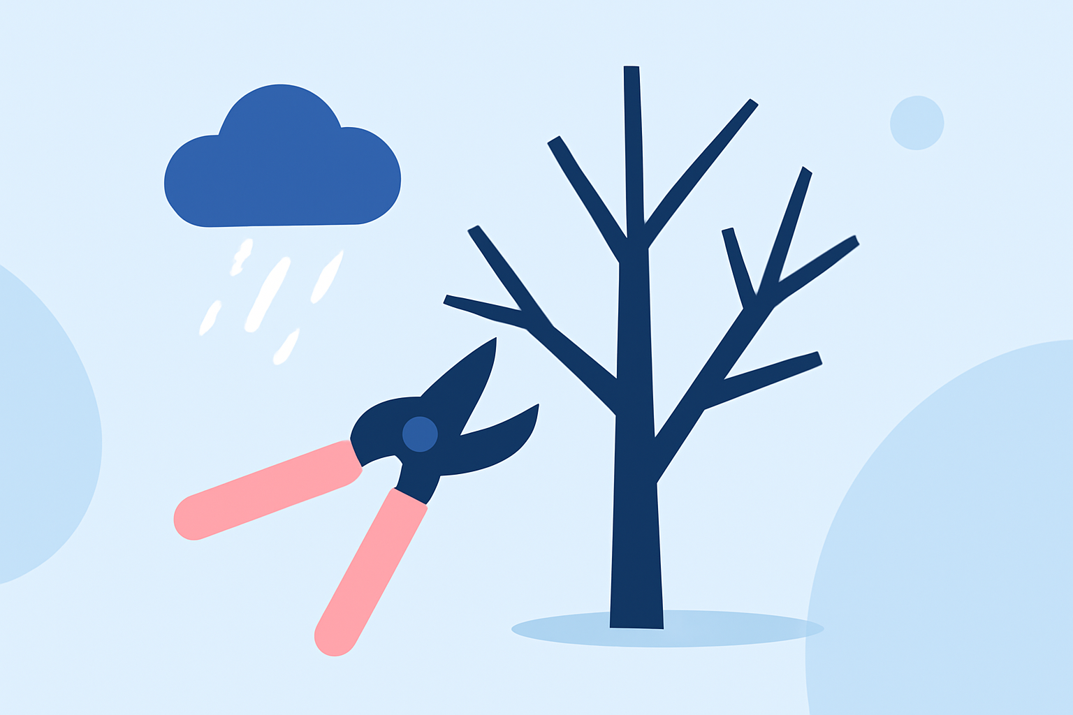 Weather Considerations for Tree Pruning During Winter Storms