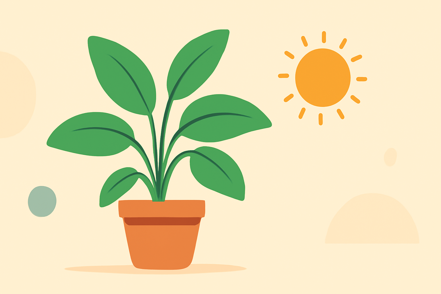 Pro Tips for Indoor Plant Care During Heat Waves