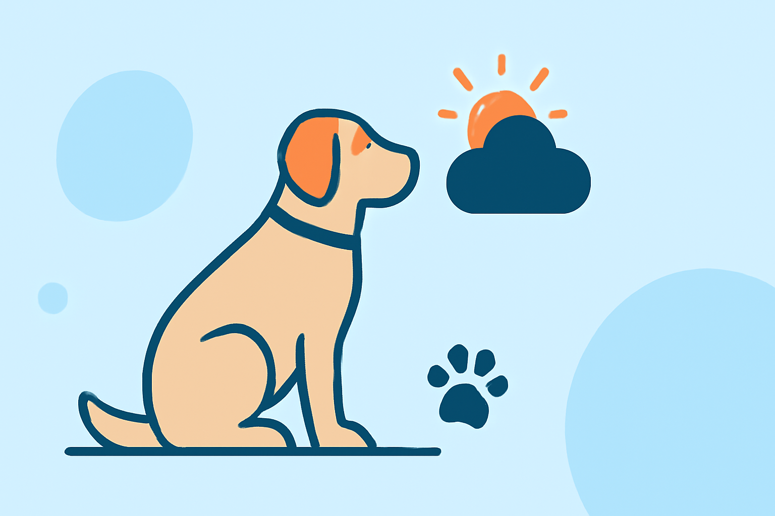 Understanding How Weather Affects Your Pet's Joint Health