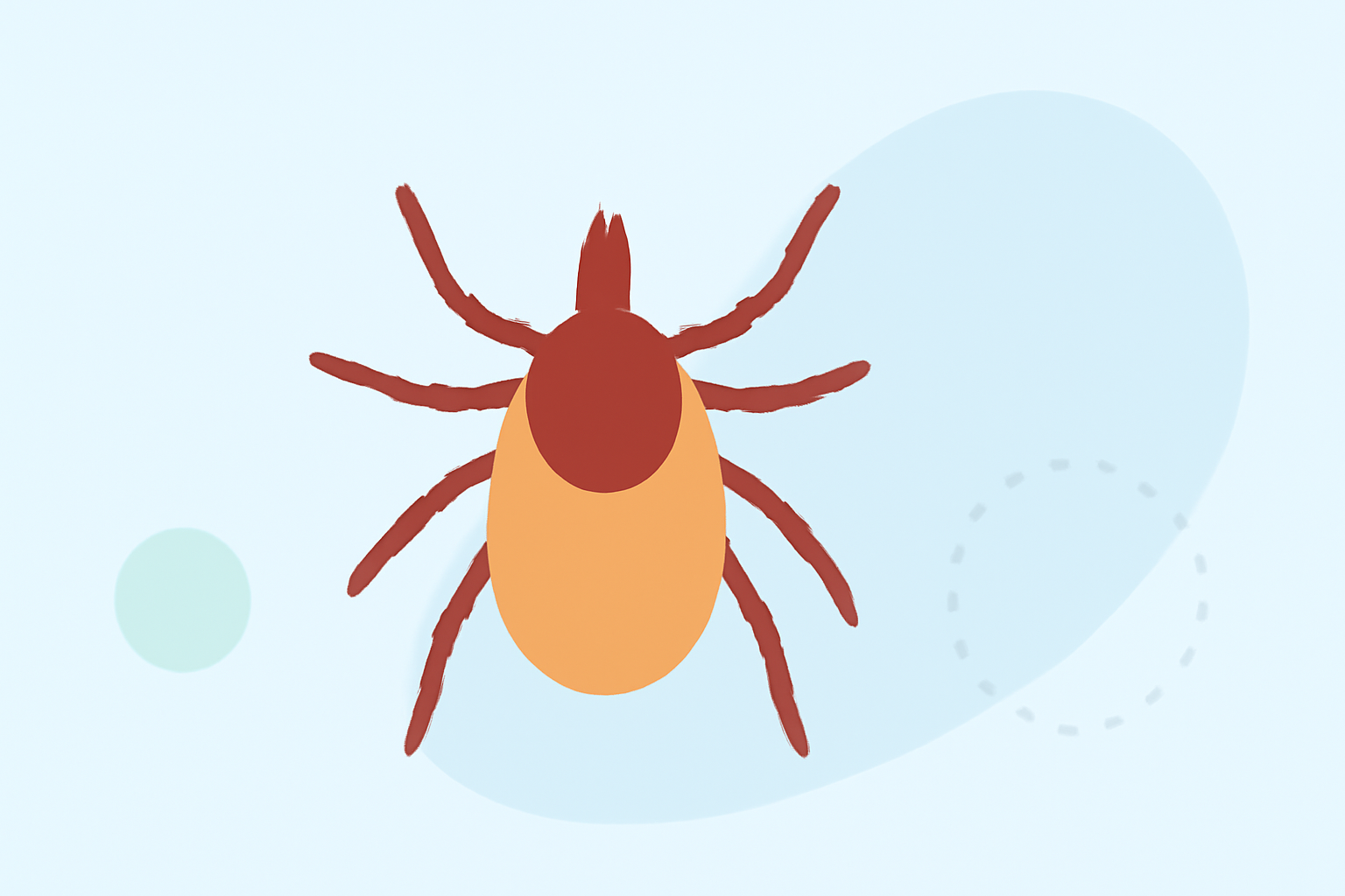 Common Tick Season Outlooks: What to Expect
