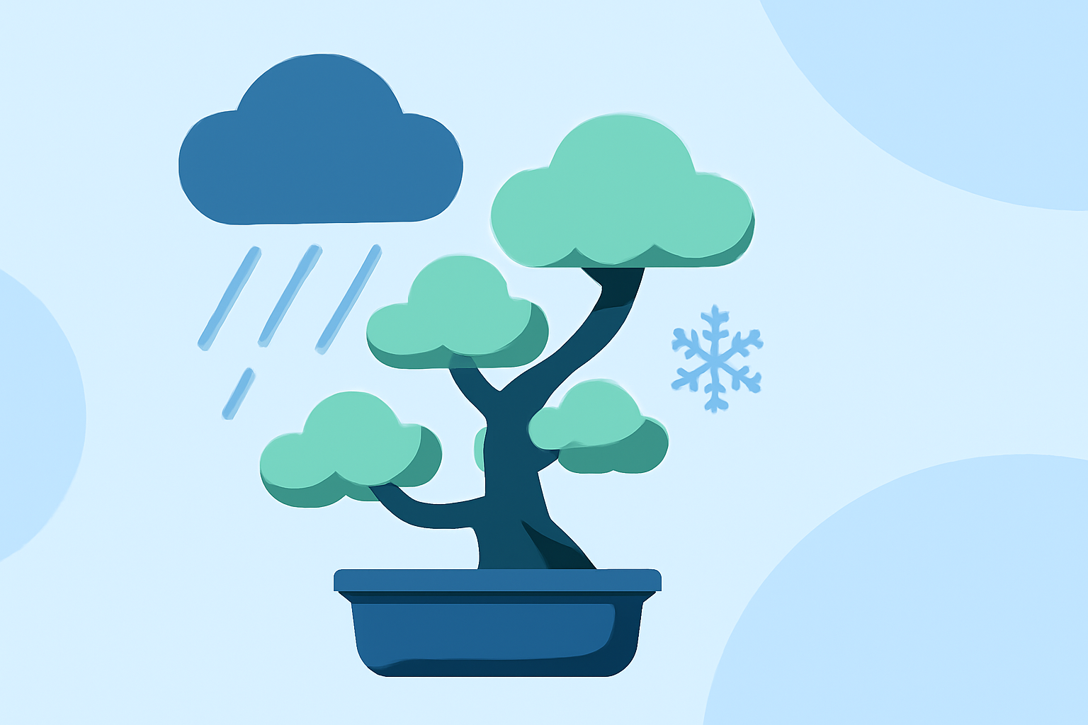 Weather for Bonsai Care: Step-by-Step During Winter Storms