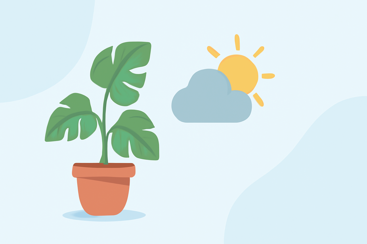 Weather for Indoor Plant Care: A Guide for Commuters