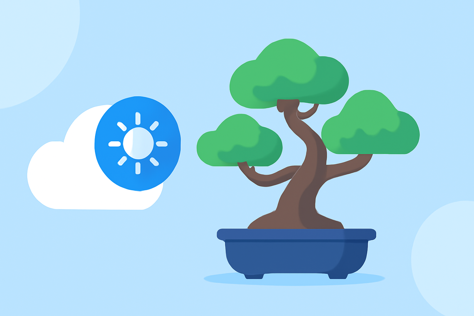 Easy Weather Tips for Bonsai Care