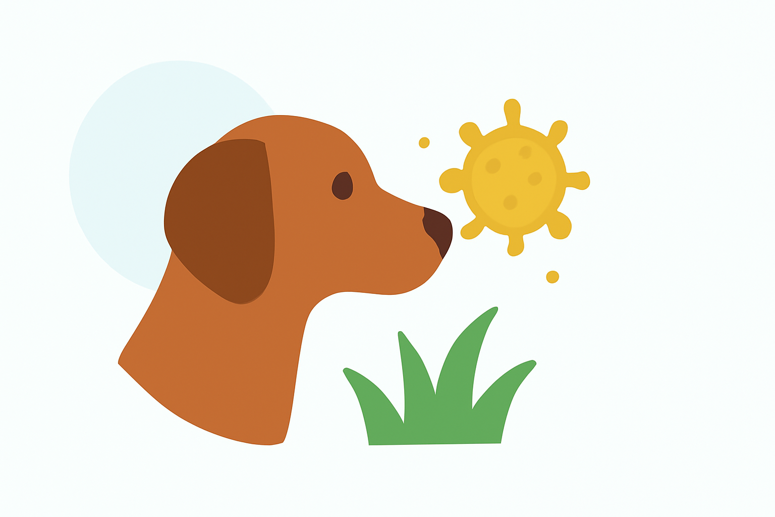 Grass Pollen Basics for Pet Owners