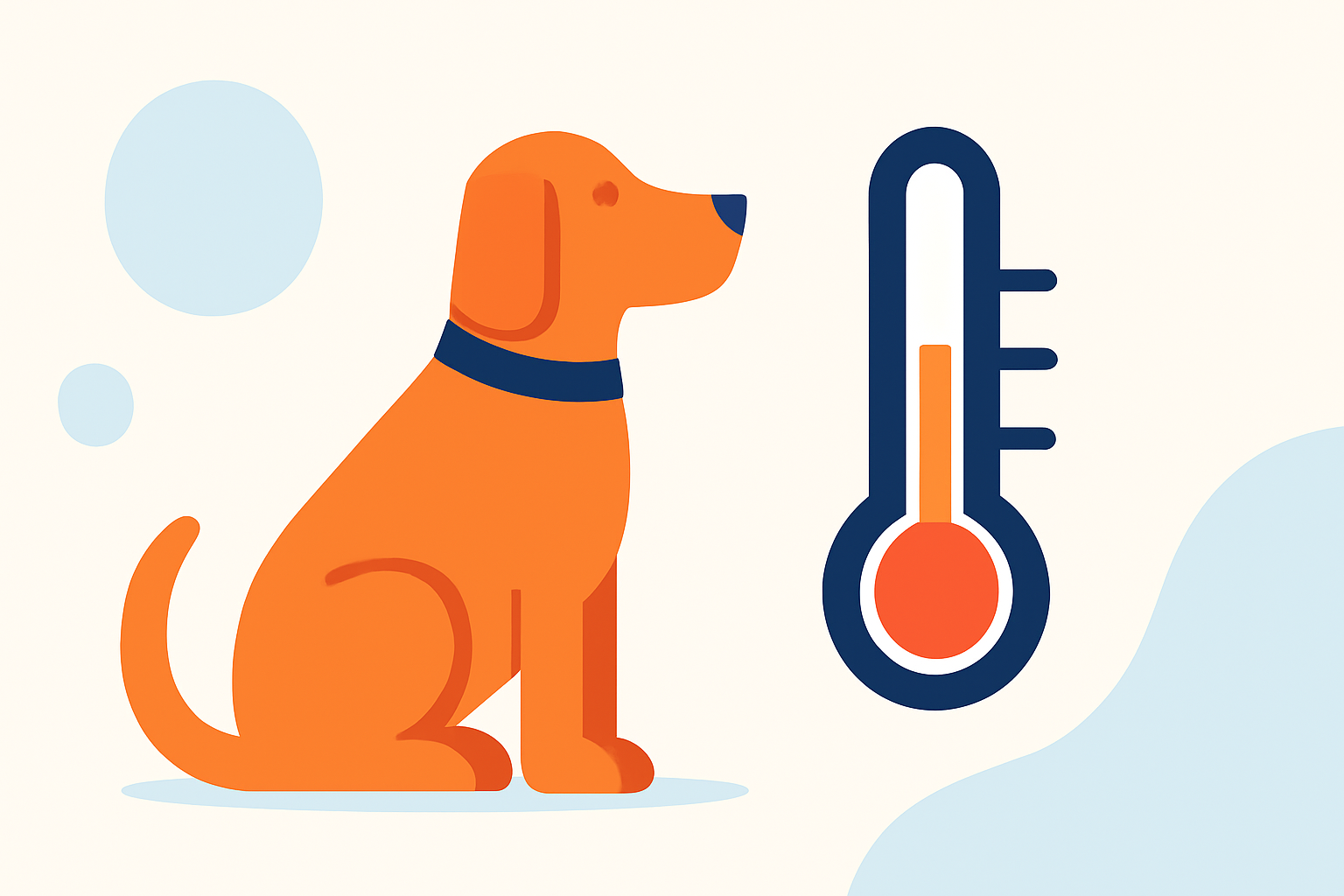 Heat Wave Safety Guide for Pet Owners