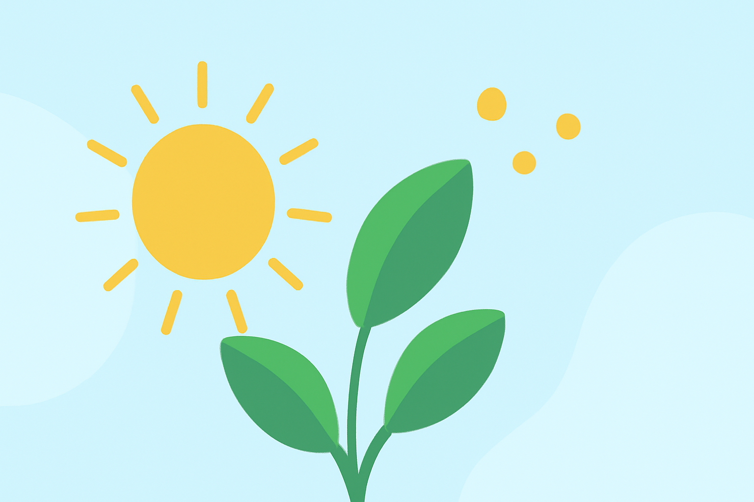 An Introduction to Golden Hour Timing During Pollen Season