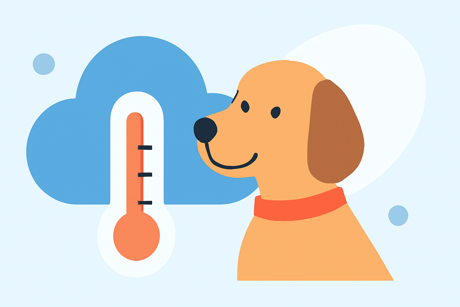 Weather for Camping Trips: Essential Guide for Pet Owners