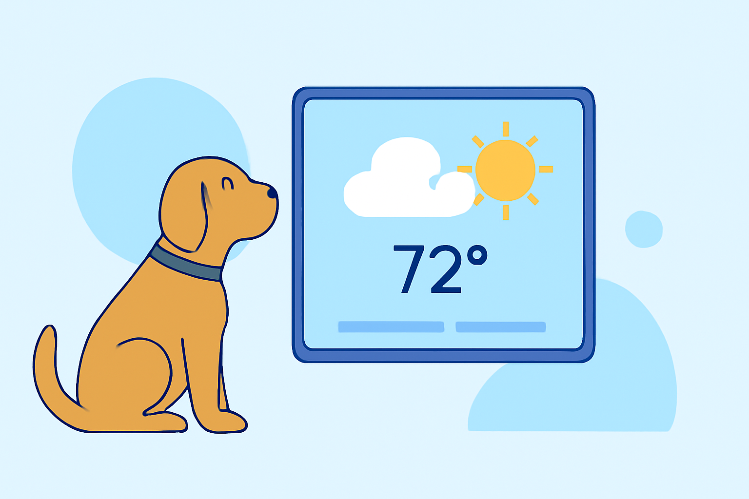 Enhancing Your Pet's Day with Personalized Weather Widgets