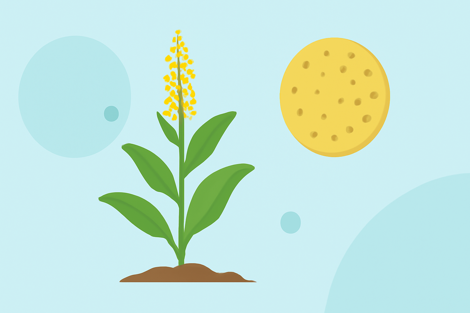 Quick Guide to Weed Pollen for Gardeners