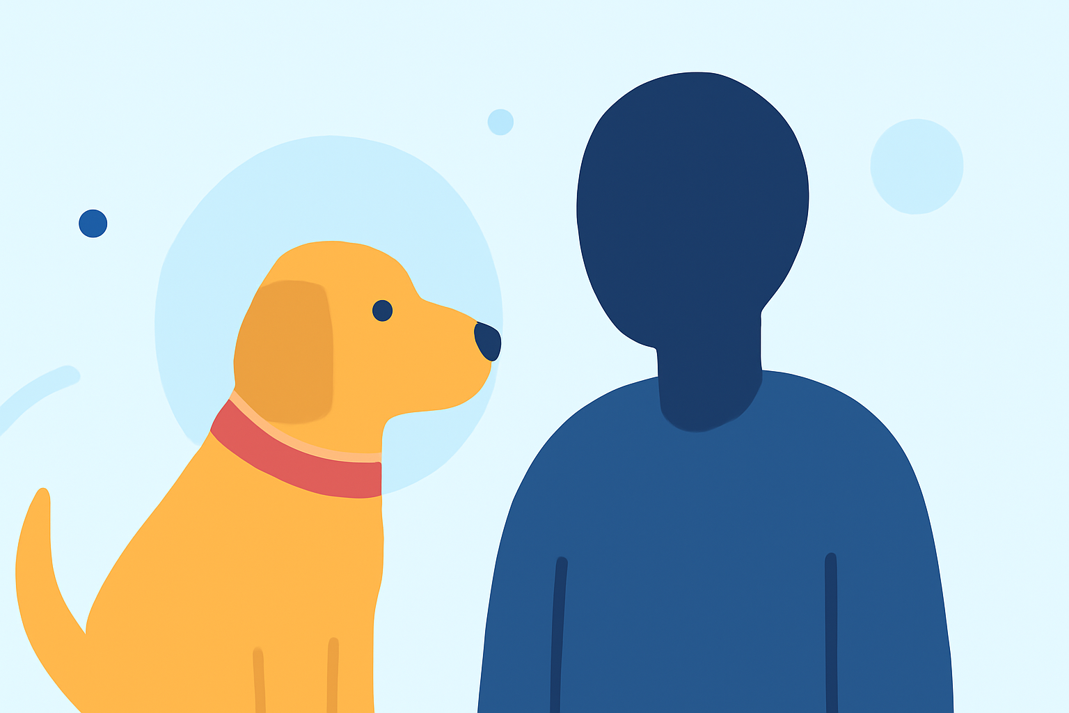Easy Flooding Trends for Pet Owners