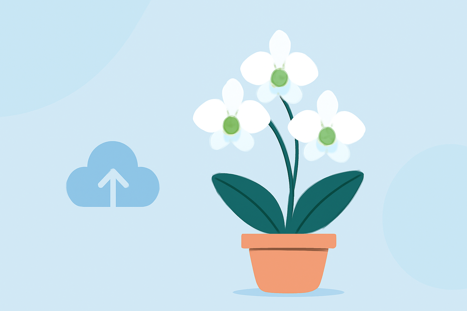 Optimal Weather Conditions for Orchid Growth in the United States