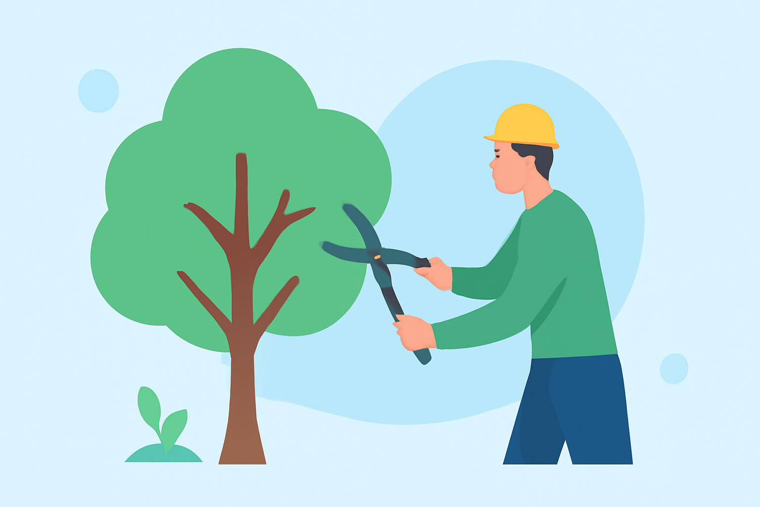 A Step-by-Step Guide to Tree Trimming: Optimal Weather Conditions and Techniques