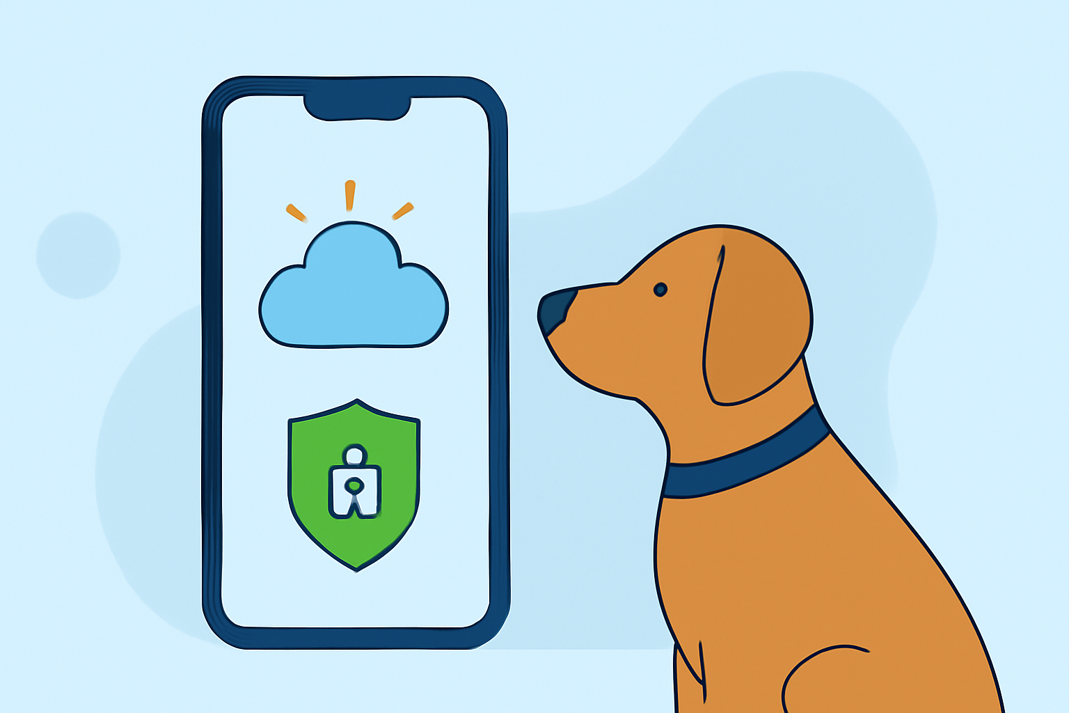 Weather App Privacy Basics Explained for Pet Owners