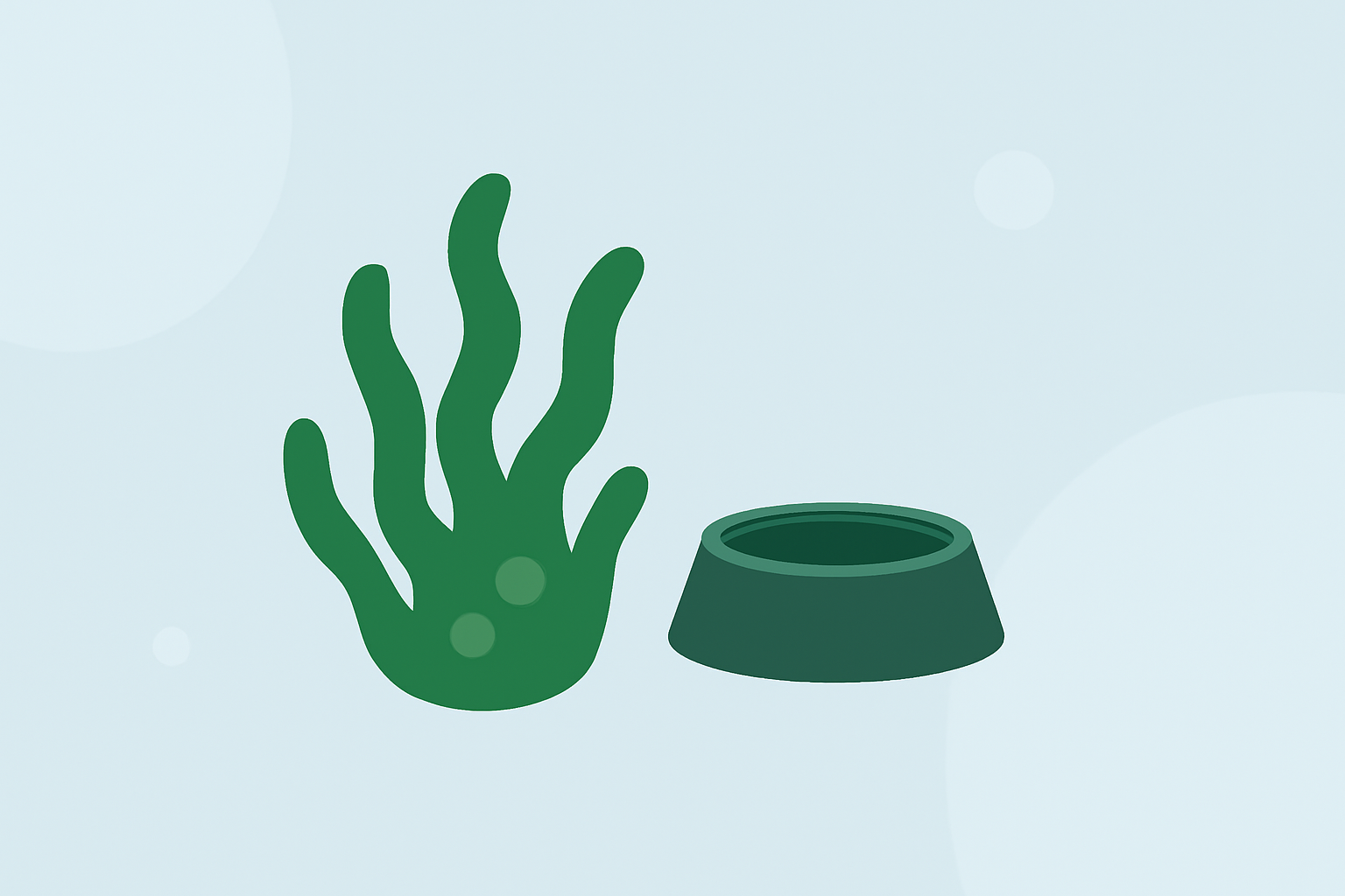 An Introduction to Algae Bloom Season Outlooks for Pet Owners