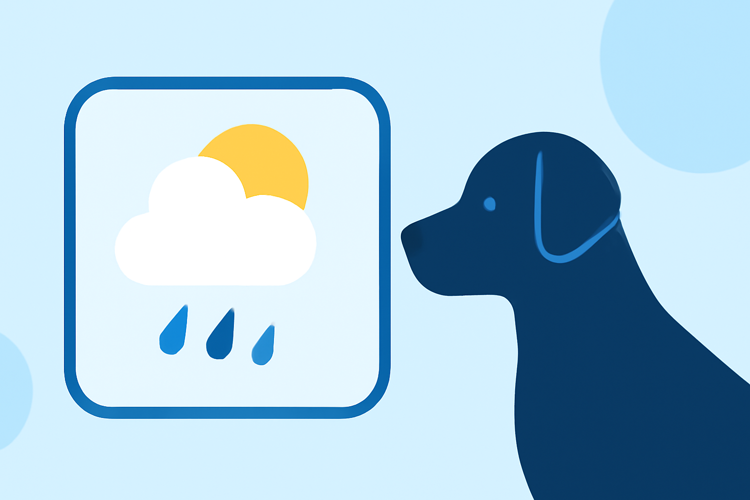 Quick Weather for Dog Walking: A Complete Guide
