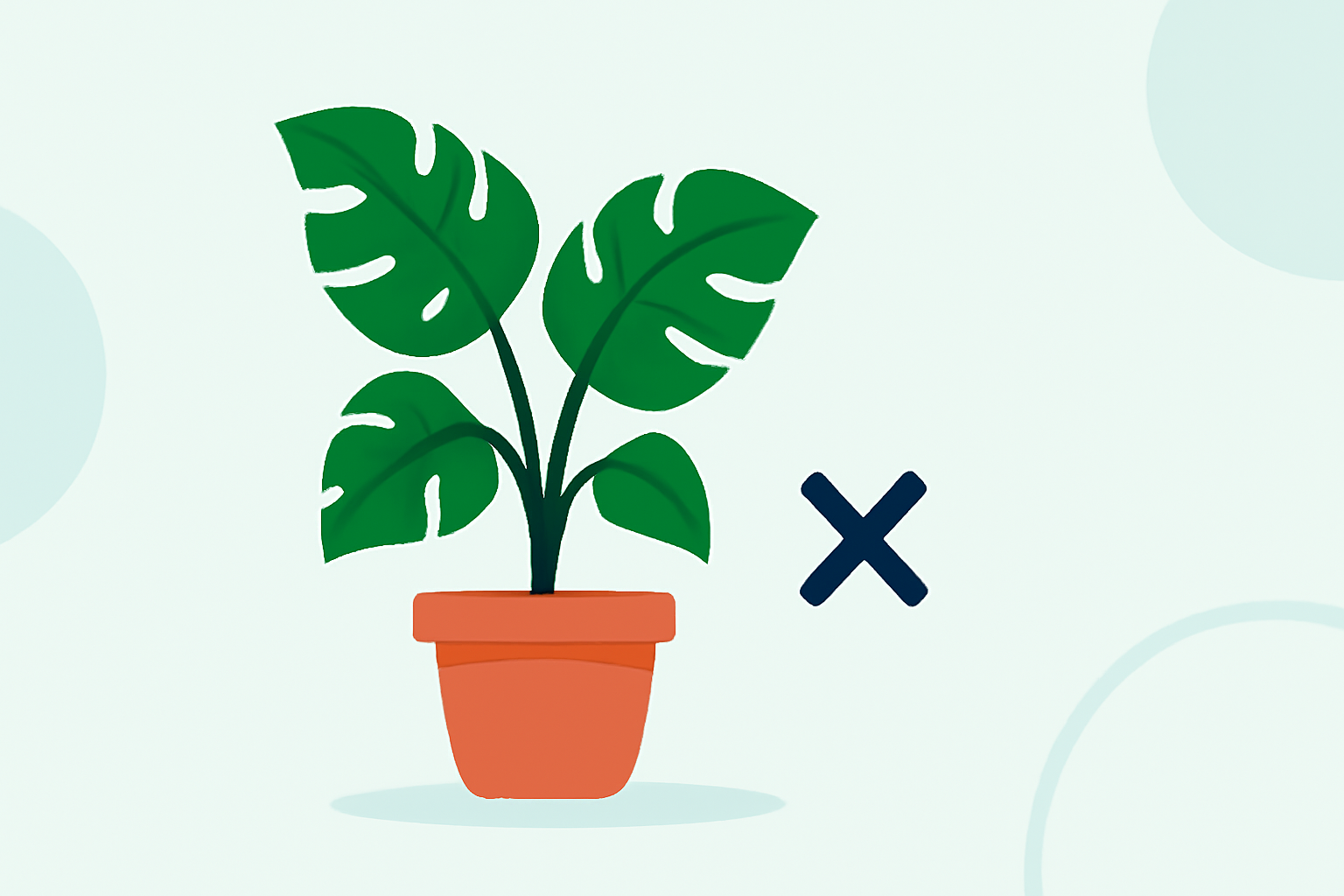 Avoiding Common Indoor Plant Care Mistakes in 2026