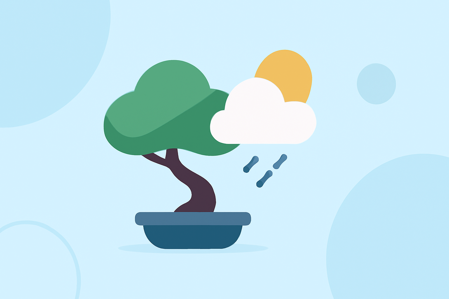 Weather for Bonsai Care Checklist: Essential Insights