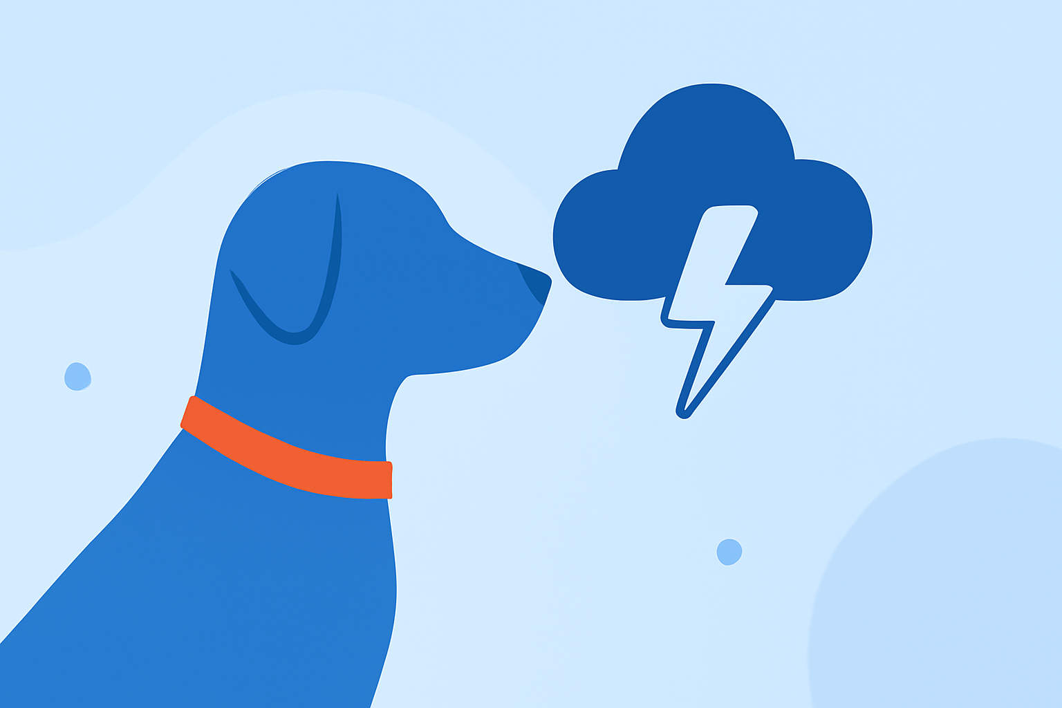 Understanding Lightning Tracking for Pet Owners