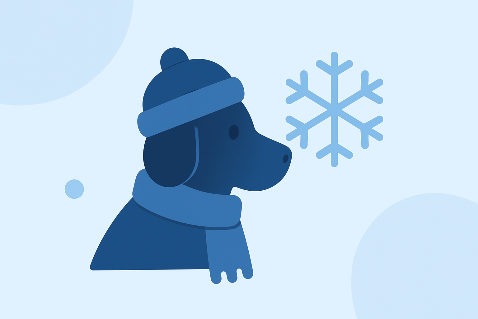 Common Winter Weather Outlook Questions for Pet Owners