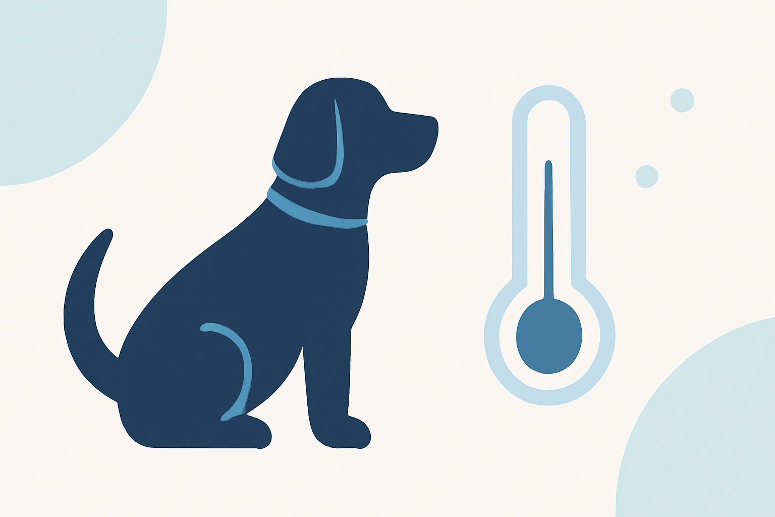 Wind Chill Basics Explained for Pet Owners