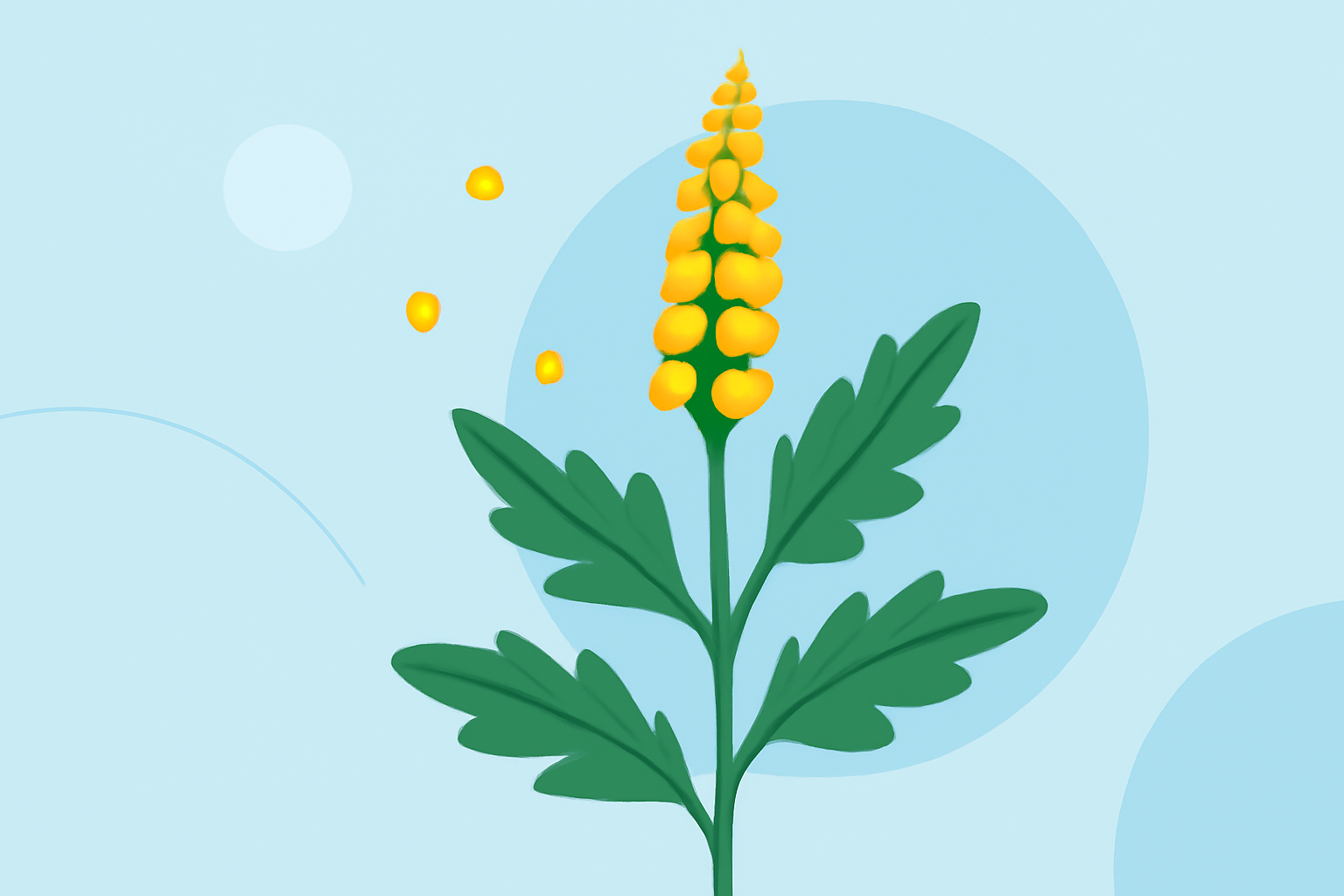 An Introduction to Ragweed Pollen in Under 5 Minutes