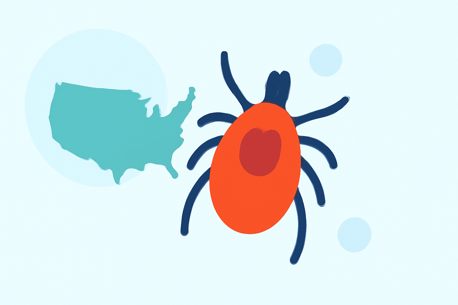 Understanding the 2026 Tick Season Outlook in the United States