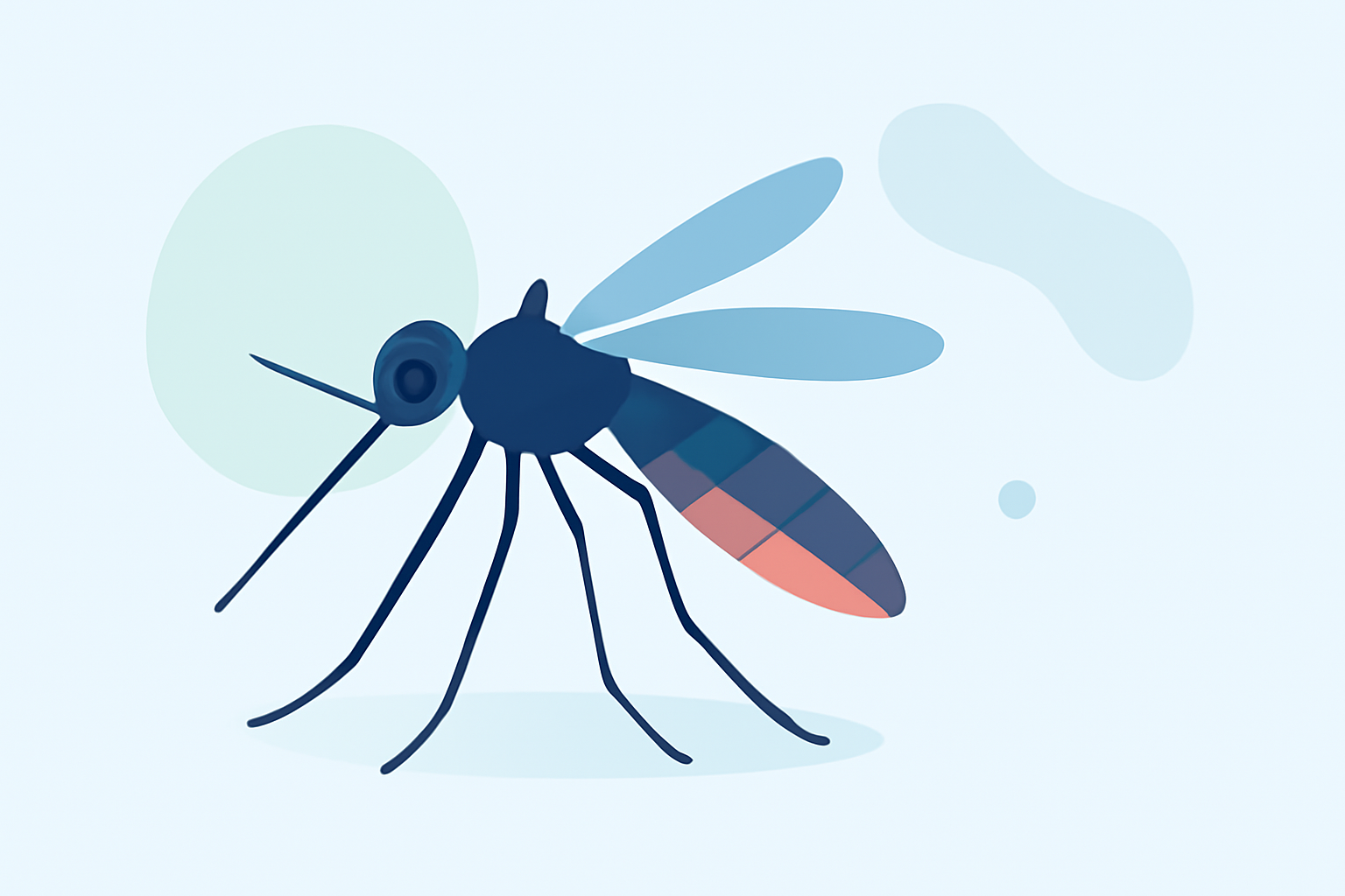 Getting Started with Mosquito Season Outlooks in the United States