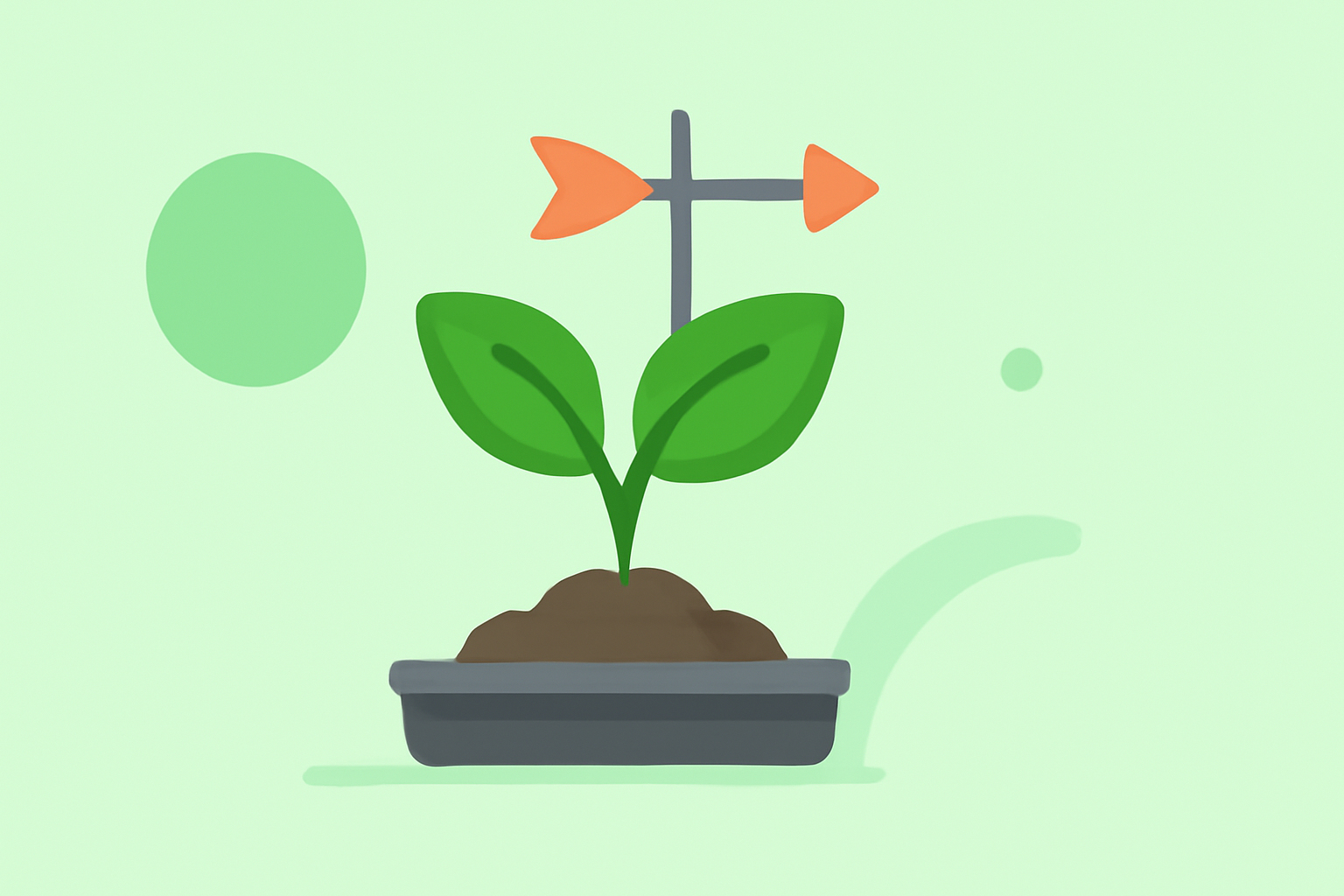 Optimizing Vegetable Growth: Essential Weather and Climate Considerations
