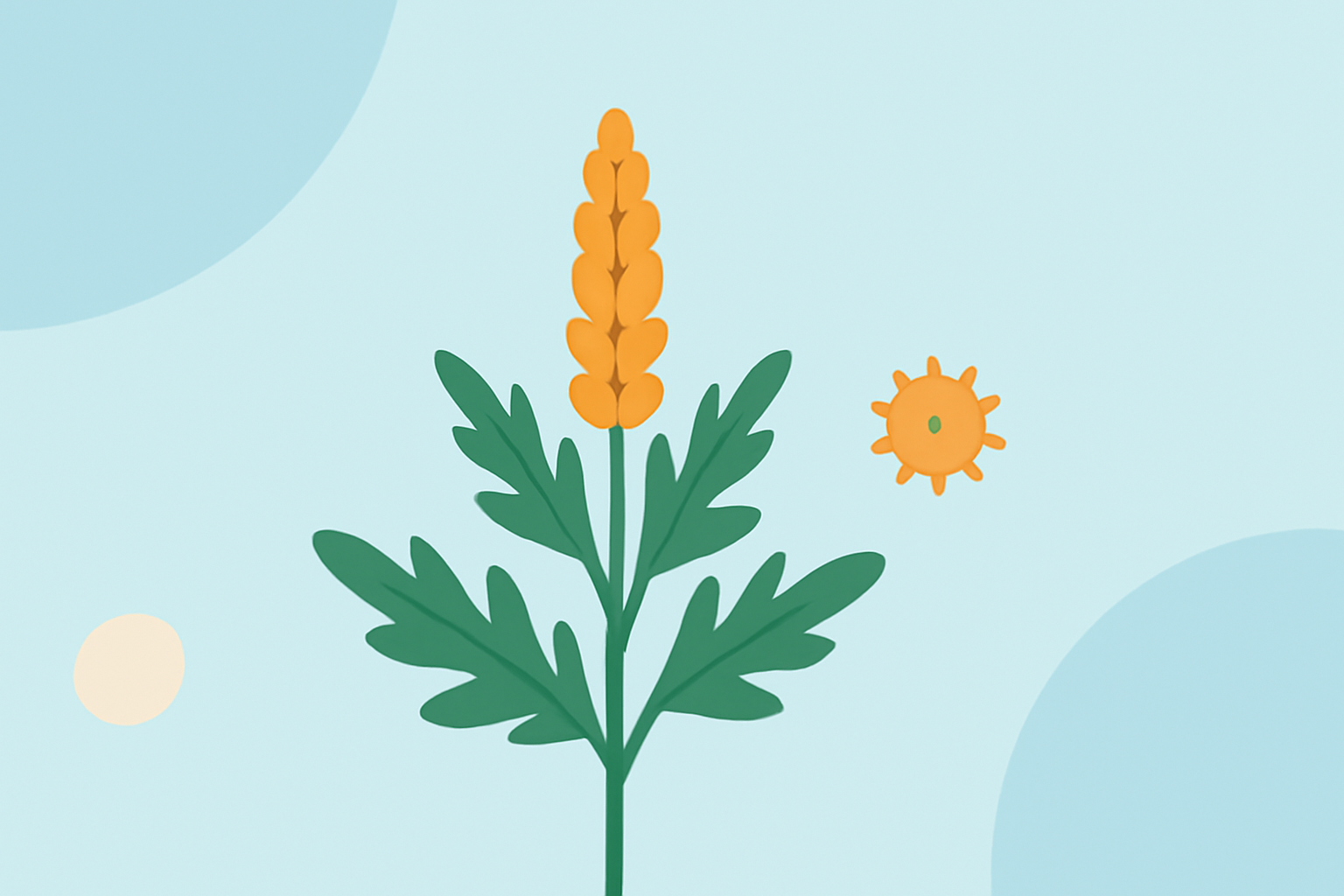 An Introduction to Ragweed Pollen: Impacts and Management