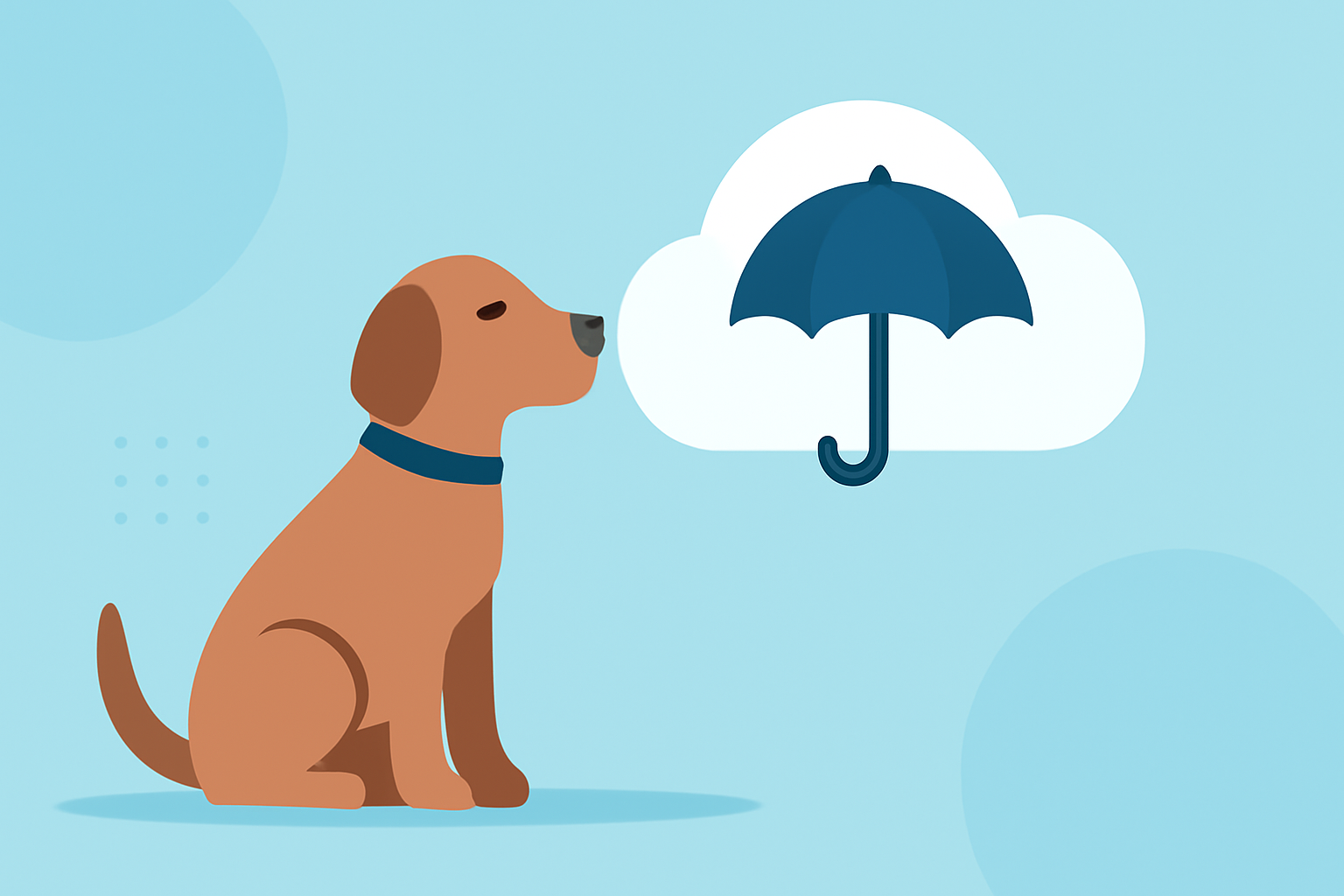 Weather for Dog Walking: A Comprehensive Guide