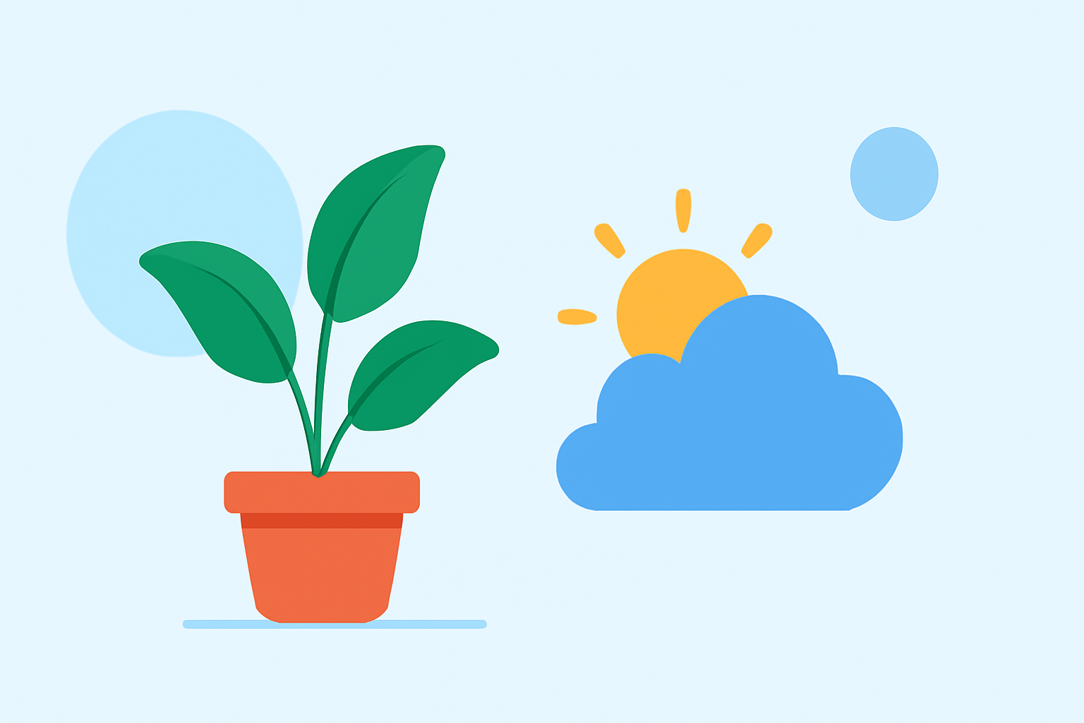 An Introduction to Weather for Indoor Plant Care Without Prior Experience