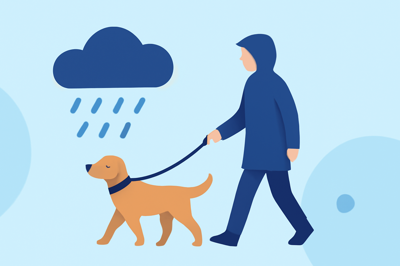 Easy Weather for Dog Walking During Severe Weather